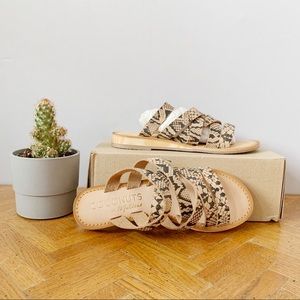 Coconuts Matisse Leather Snake Print Sandals